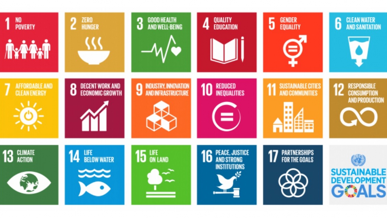 strategic development goals, Sustainable Development Goals, SDGs, United Nations, global progress, poverty eradication, sustainability, economic growth, social inclusion, environmental protection