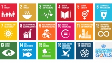 strategic development goals, Sustainable Development Goals, SDGs, United Nations, global progress, poverty eradication, sustainability, economic growth, social inclusion, environmental protection